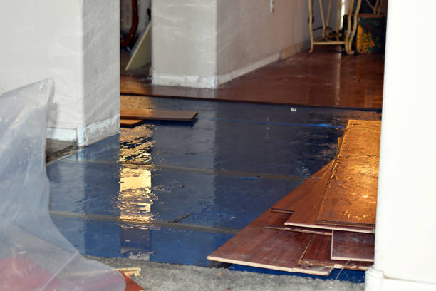 Professional Water Extraction technician working in Thompsons, TX
